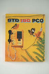 Singing mynas by a silent phone booth 🌼