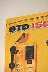 Singing mynas by a silent phone booth 🌼