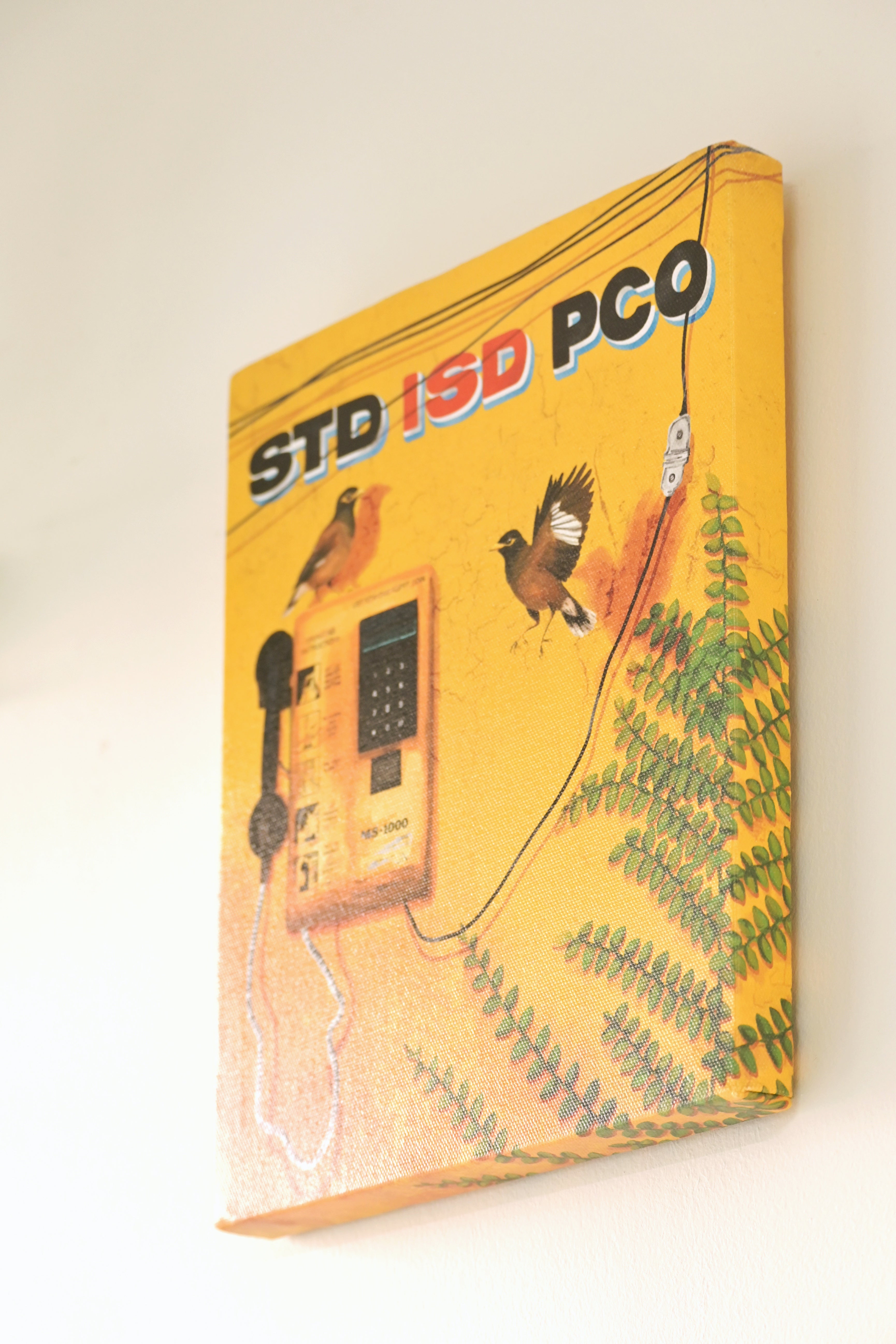 Singing mynas by a silent phone booth 🌼