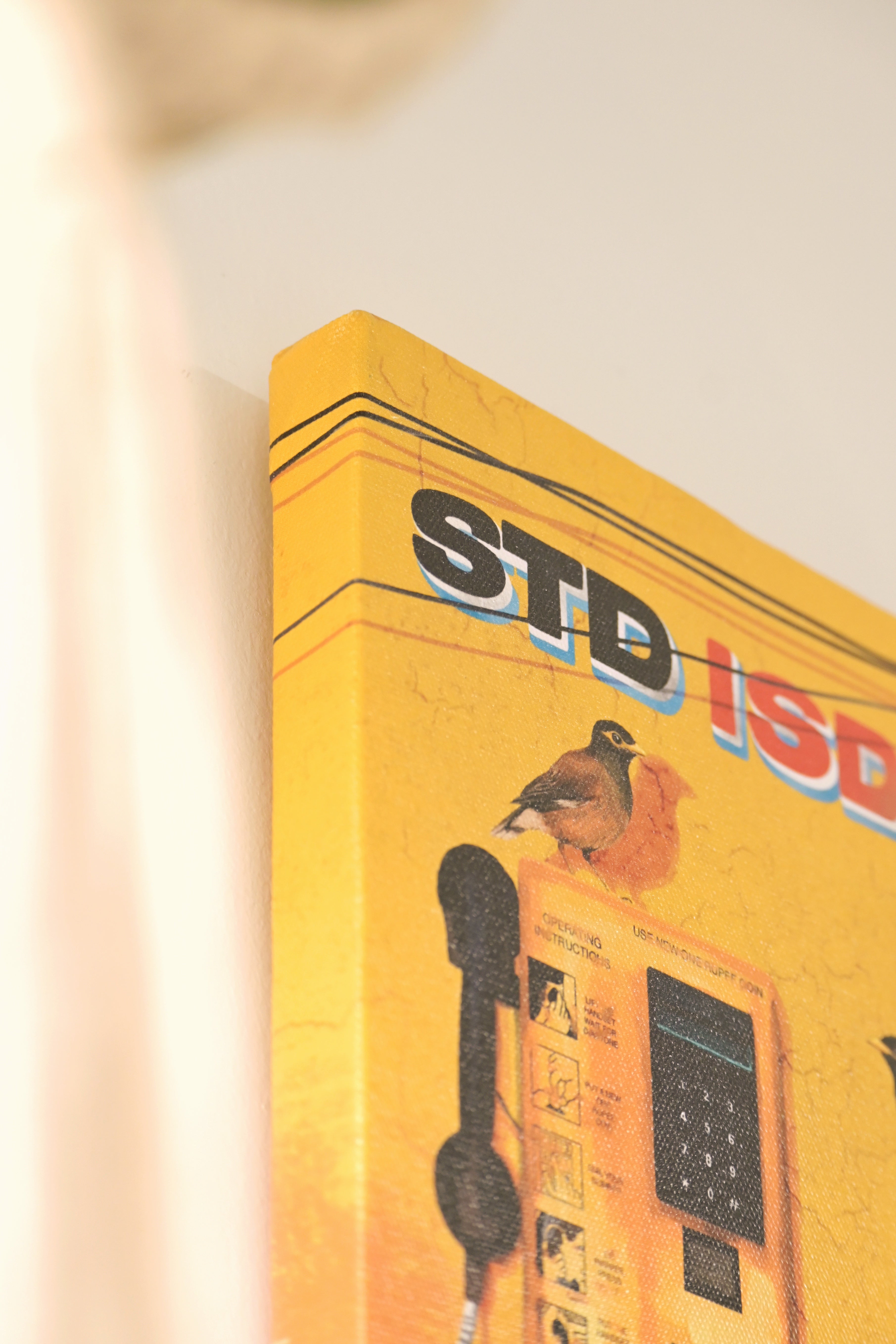 Singing mynas by a silent phone booth 🌼