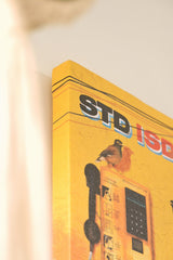 Singing mynas by a silent phone booth 🌼