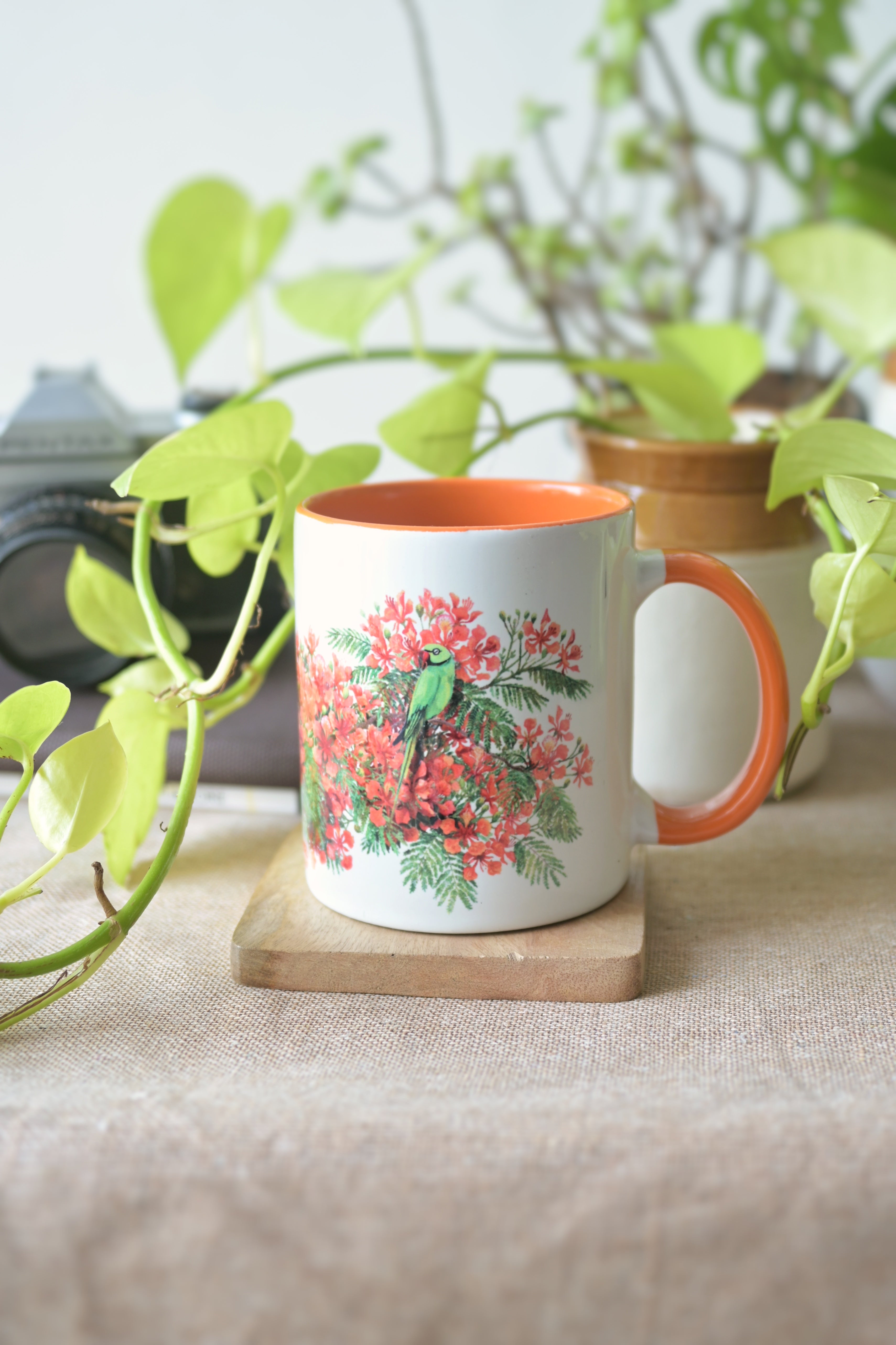 A parrot who loves the gulmohor