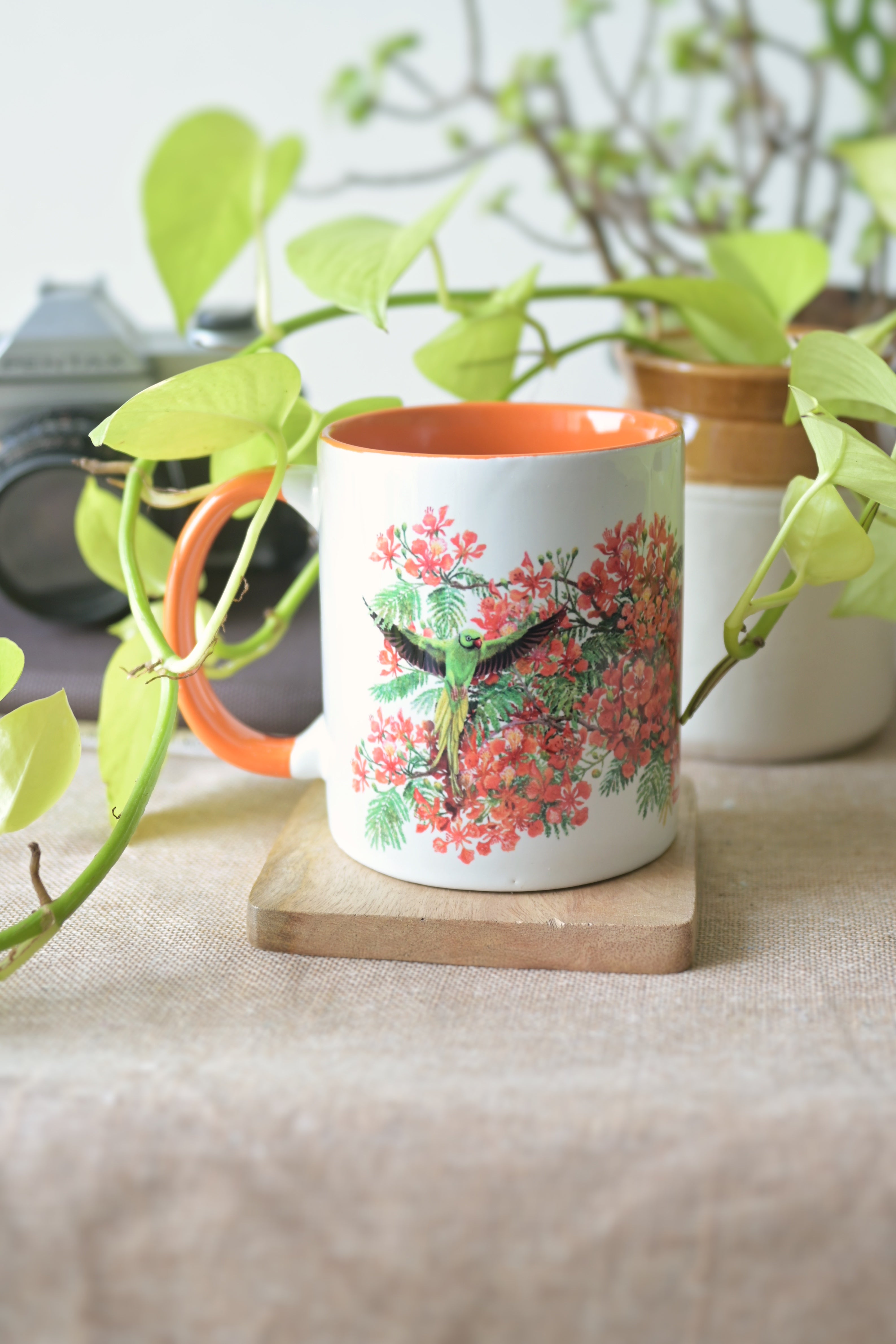 A parrot who loves the gulmohor