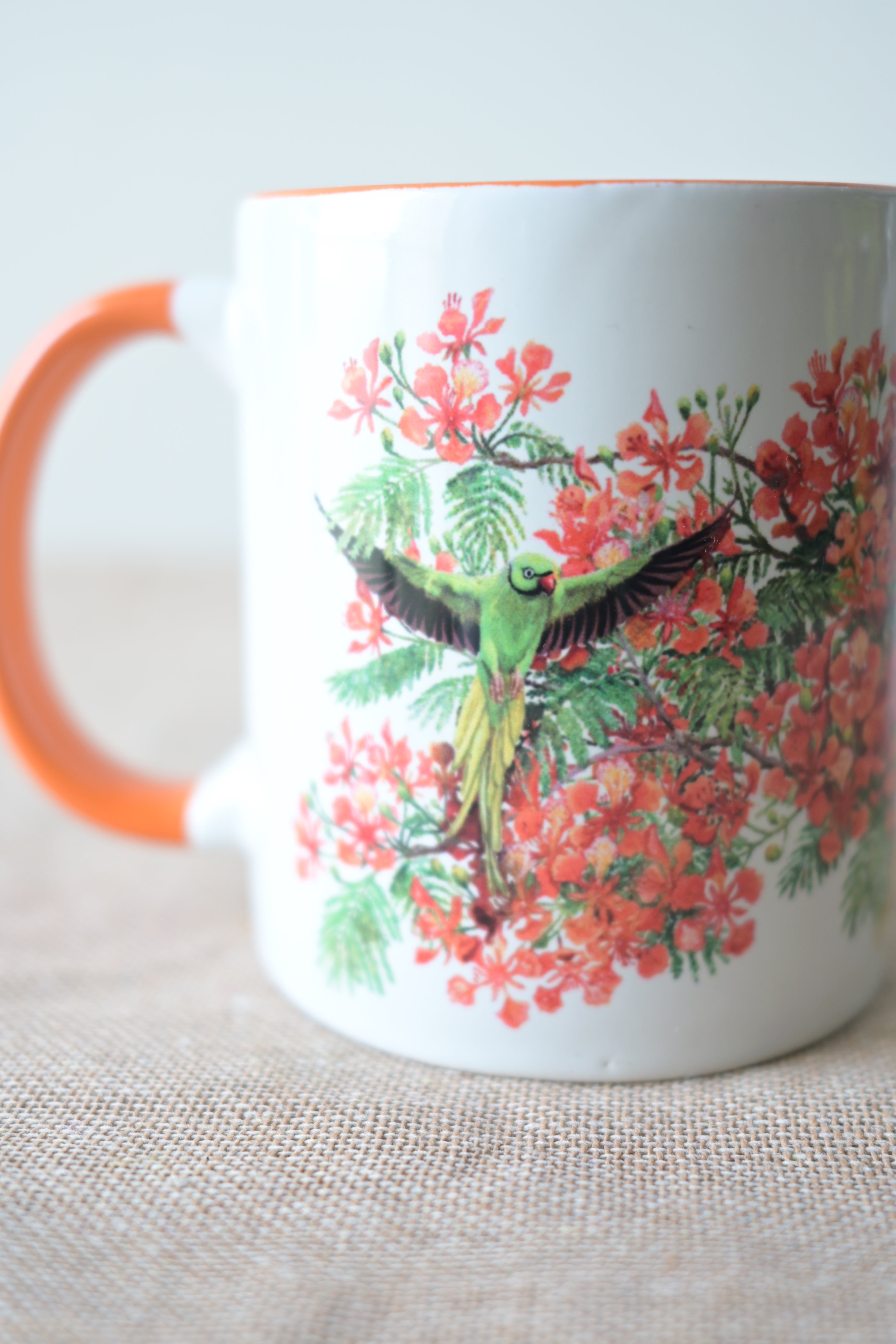 A parrot who loves the gulmohor