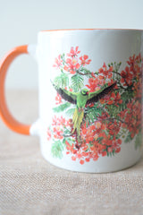 A parrot who loves the gulmohor