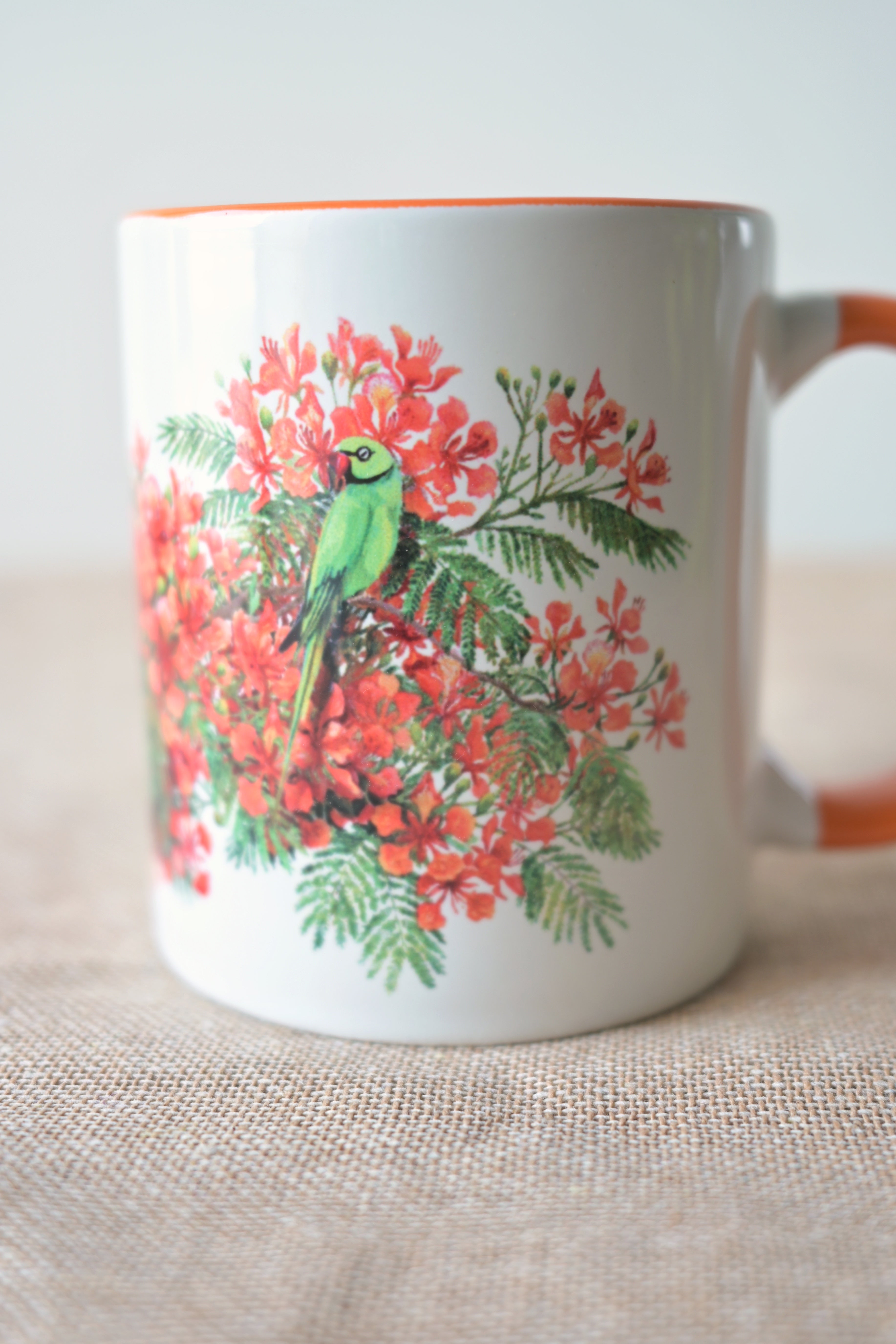 A parrot who loves the gulmohor