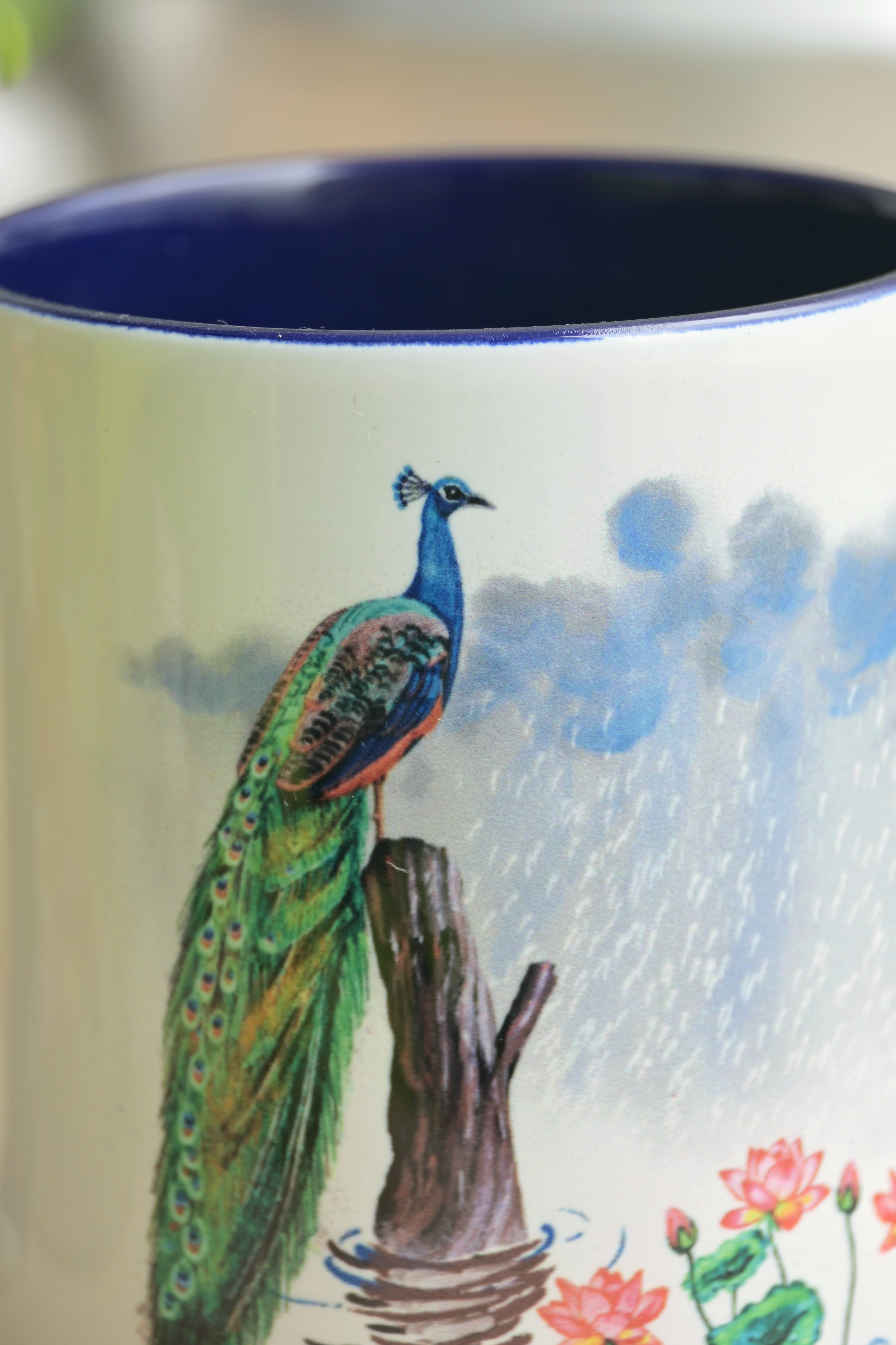 A peacock gracefully invites the rain