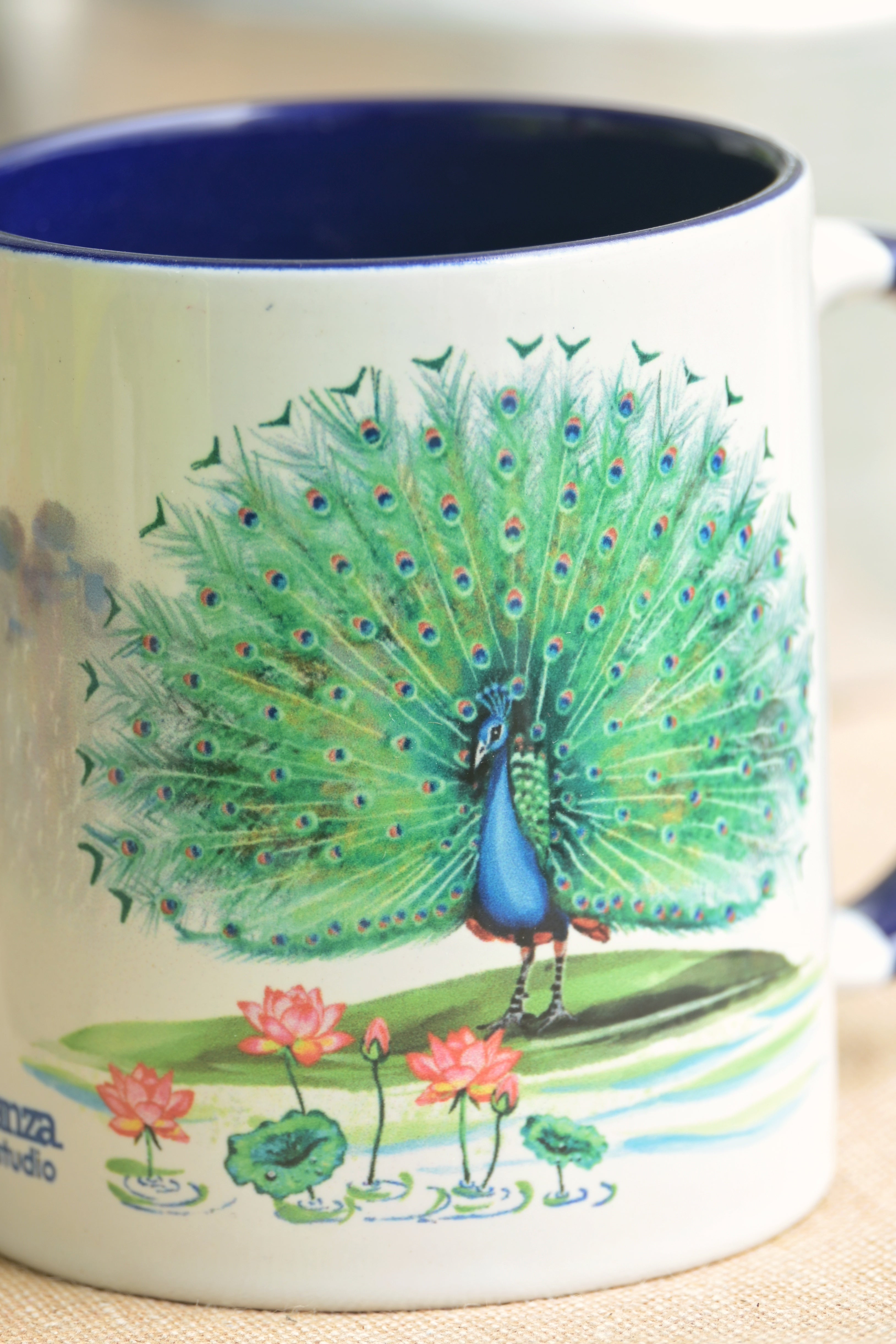 A peacock gracefully invites the rain