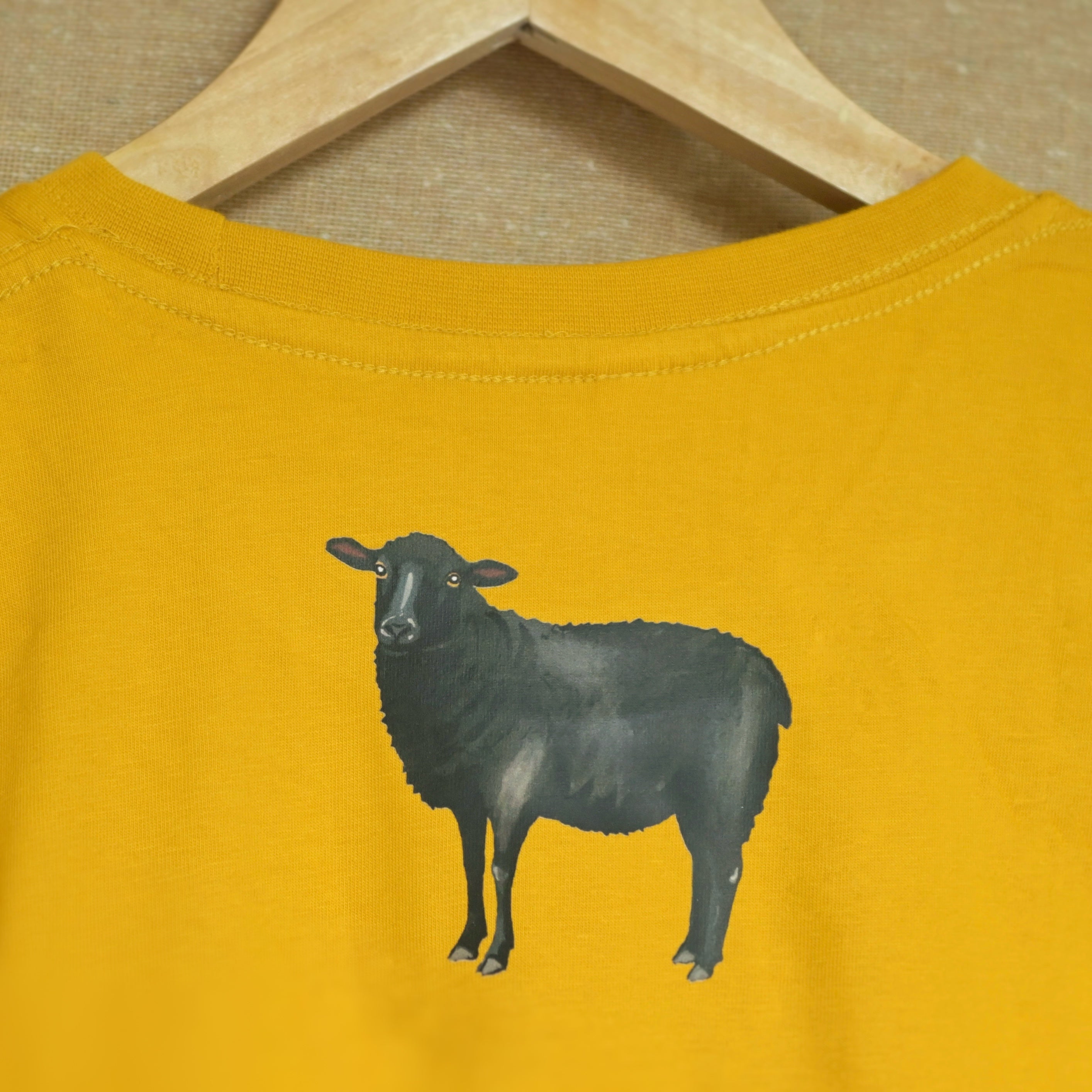 The black sheep stands tall 🌼