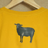 The black sheep stands tall 🌼