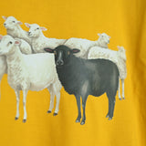 The black sheep stands tall 🌼