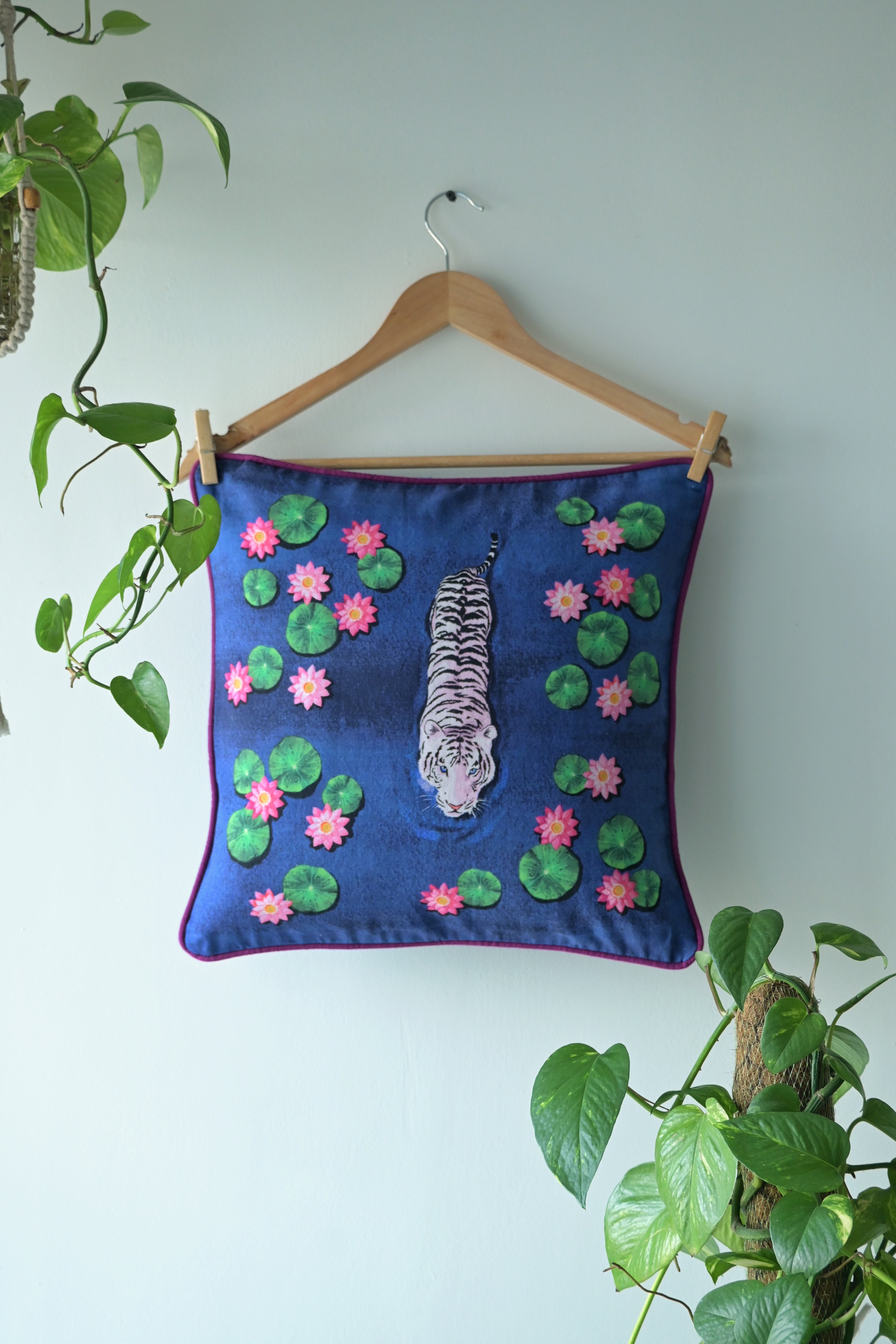 White tiger moves slowly in a lotus pond 🌼