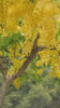 Golden rain where the sunbird plays (set of two)